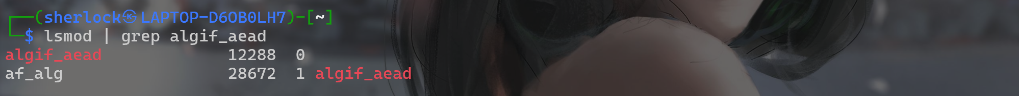 image-20260505212746841